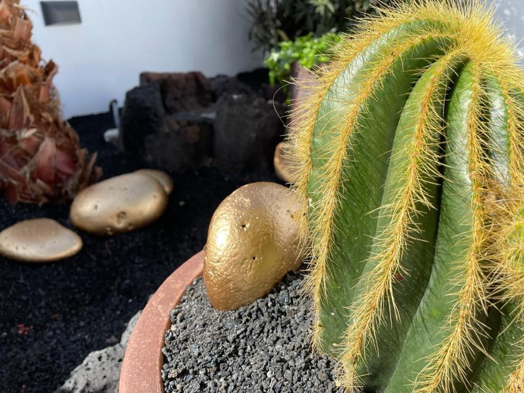 Apartamento El Jable Arrecife  Luaran gambar